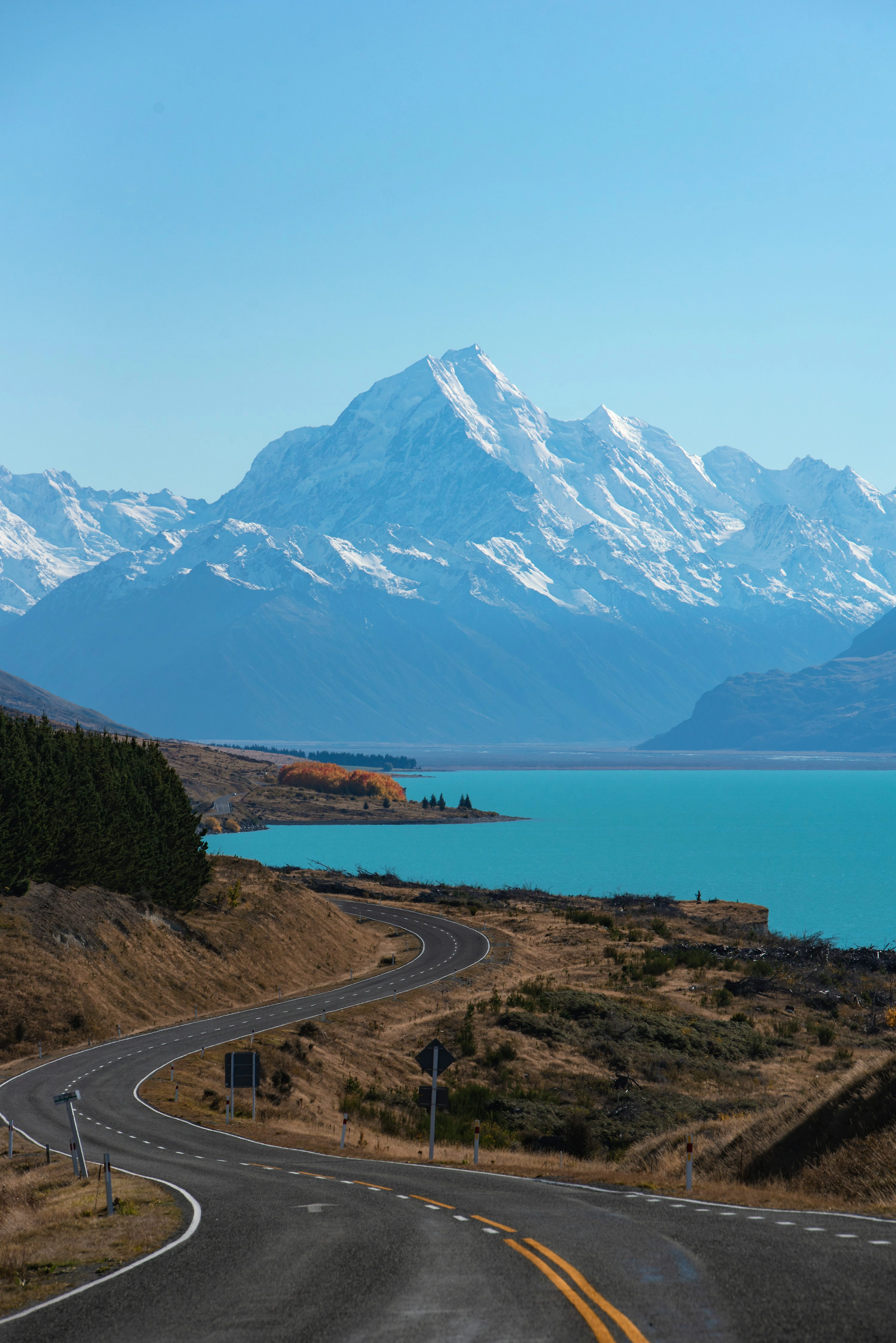 newzealand-img